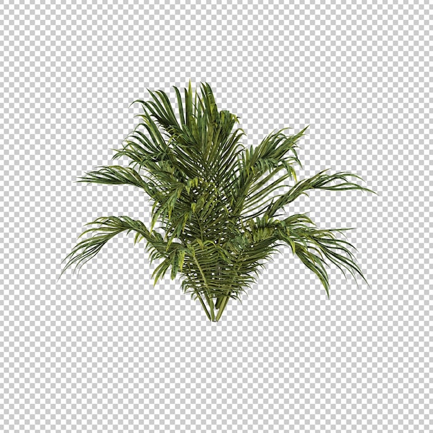 plantes 3d sans pot