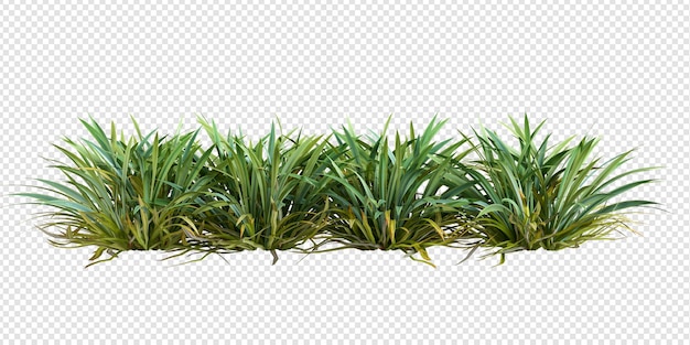 Plantes et arbustes en rendu 3d isolés