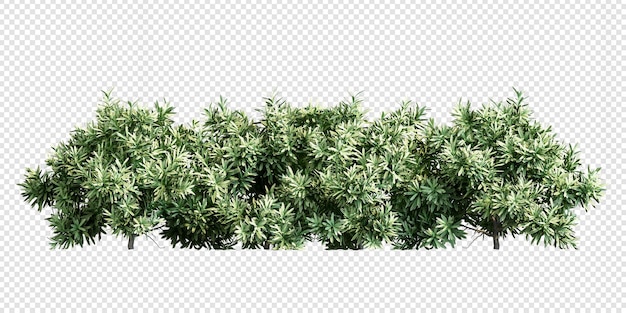 Plantes Et Arbustes En Rendu 3d Isolés