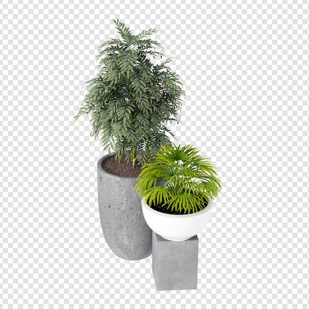 Plantes De Beauté En Pot En Rendu 3d Isolées