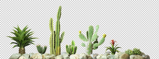 Des plantes de cactus isolées rangées sur des roches au premier plan rendu 3D