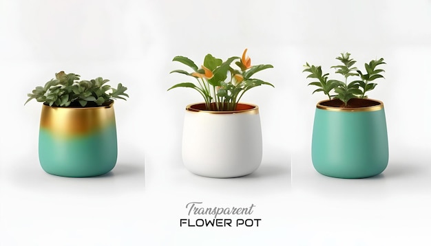 Plantes décoratives pot de fleurs transparent pour l'intérieur 3d rendu isolé sur fond gris