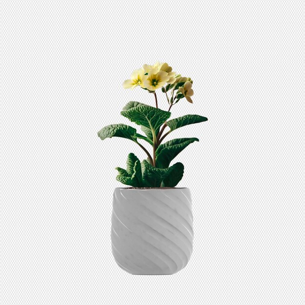 PSD plantes décoratives