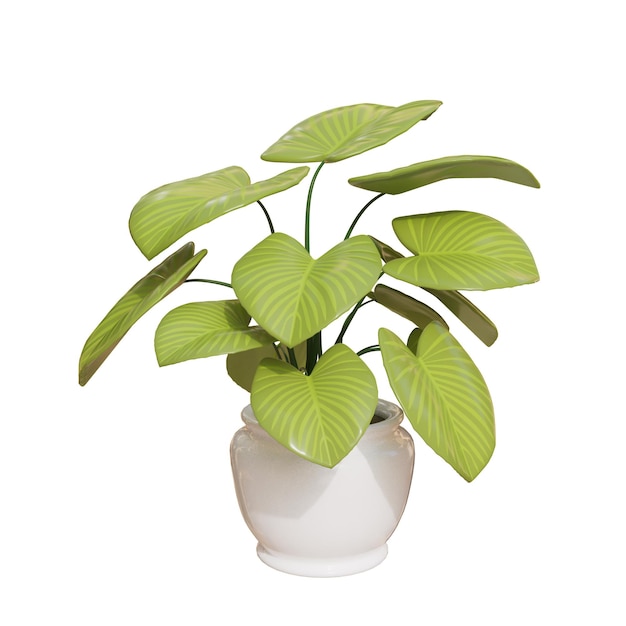 Plantes d'intérieur Illustration 3D