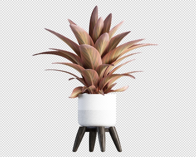 PSD plantes isométriques dans le rendu 3d