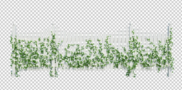 PSD plantes de lierre de rendu 3d isolés