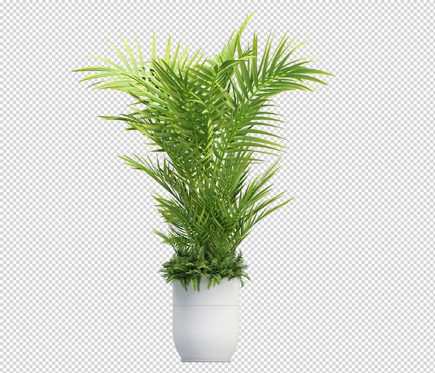 PSD plantes en pot dans un rendu 3d