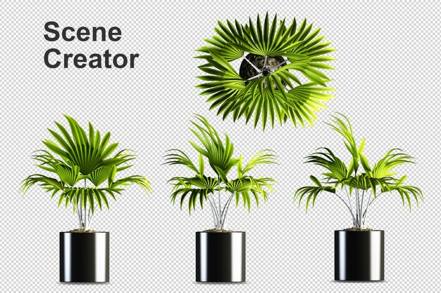 PSD plantes en pot en rendu 3d isolé