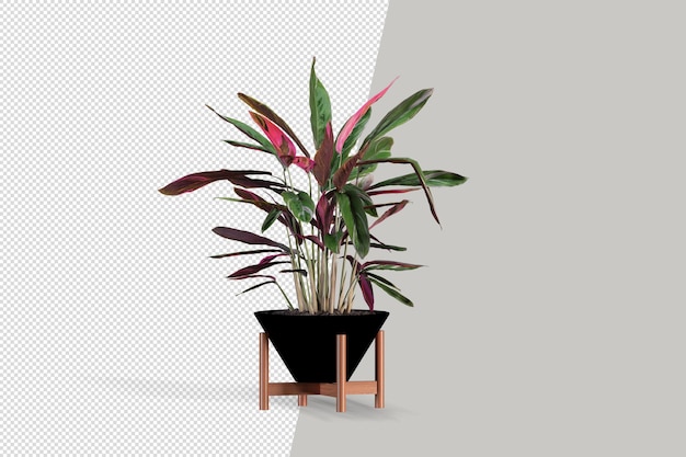 Plantes En Pot En Rendu 3d Isolé