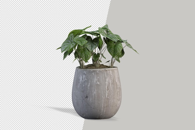 Plantes en pot en rendu 3D isolé