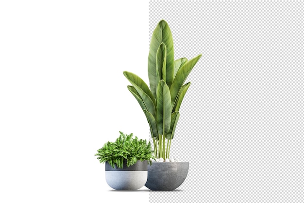 Plantes En Pot En Rendu 3d Isolées