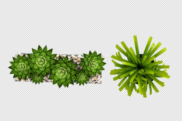 PSD plantes en pots en rendu 3d