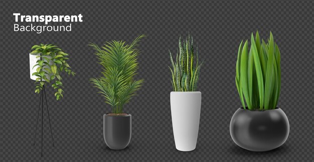 PSD avec des plantes pour la décoration