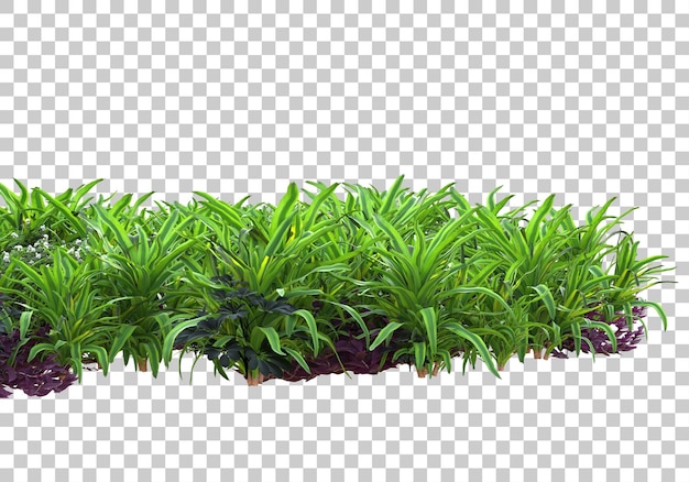 Plantes Réalistes Sur Fond Transparent Illustration De Rendu 3d