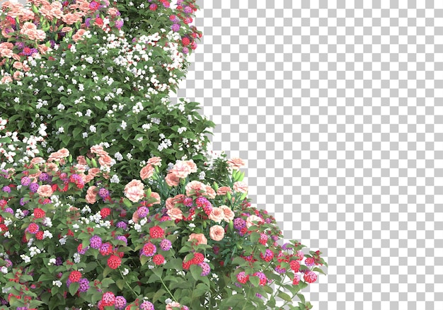 Plantes réalistes sur fond transparent illustration de rendu 3d