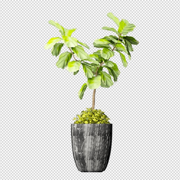 Plantez Avec Un Beau Pot De Vase Moderne