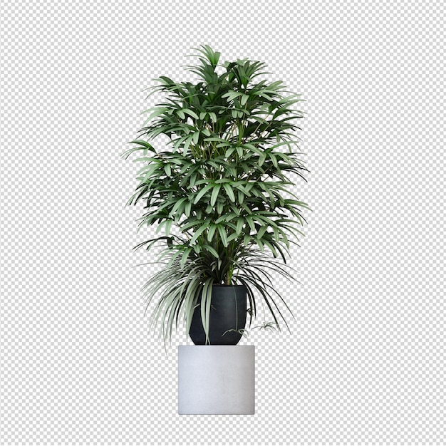 Plantez Avec Un Beau Pot De Vase Moderne