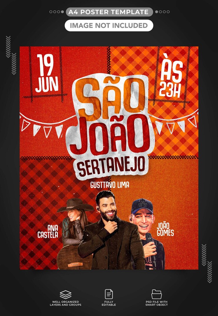 Plantilla A4 de redes sociales sao joao sertanejo