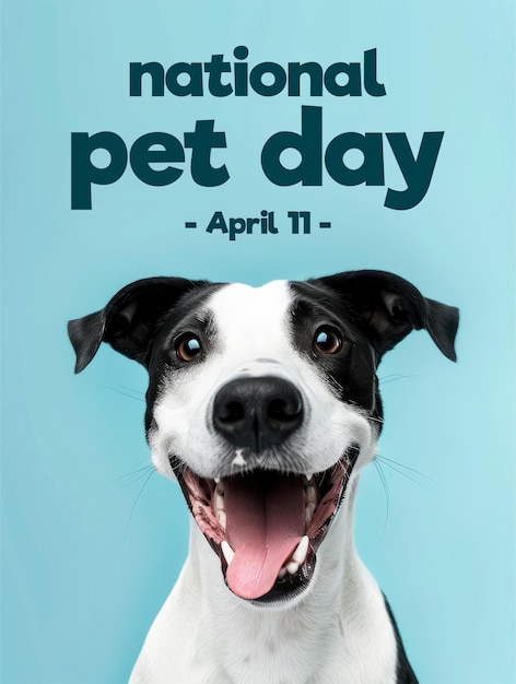 PSD plantilla de cartel del día nacional de las mascotas con un fondo de perro y gato