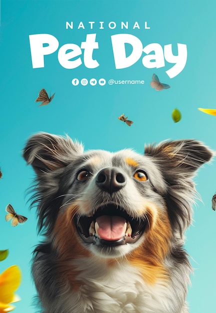 PSD plantilla de cartel del día nacional de las mascotas con fondo de perro y gato