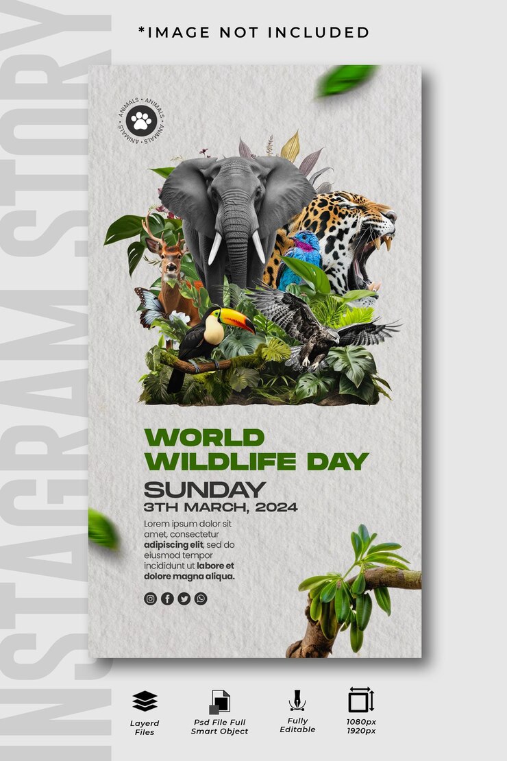 plantilla de diseño de historias de Instagram para el día mundial de la vida silvestre