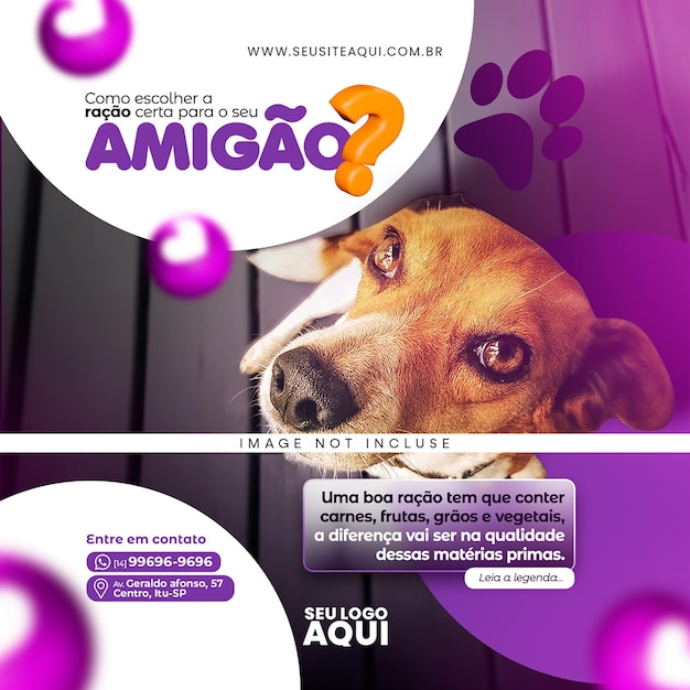 PSD plantilla de diseño de publicación de banner de instagram para la promoción de las redes sociales de la tienda de mascotas psd