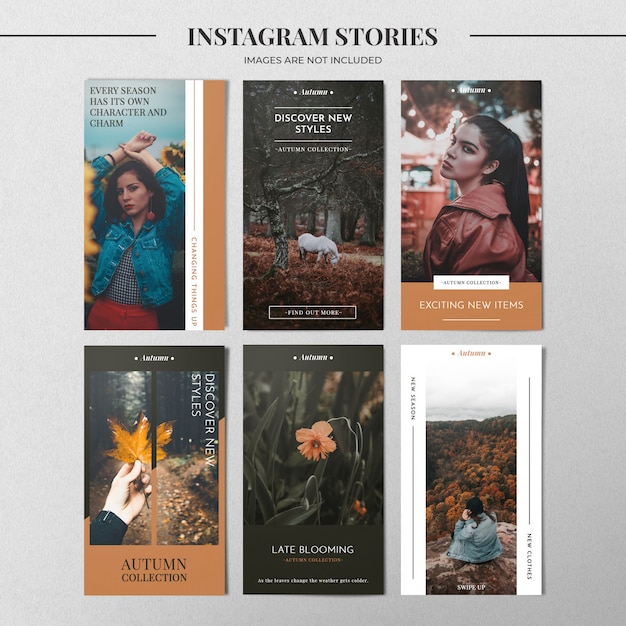 Plantilla de historia de instagram de moda