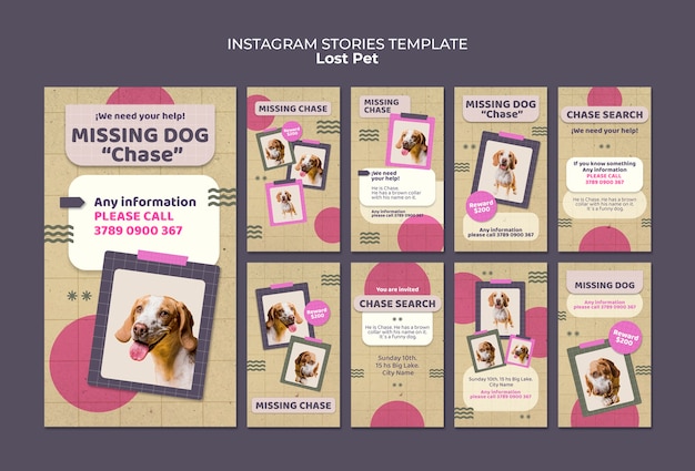 PSD plantilla de historias de instagram para mascotas perdidas