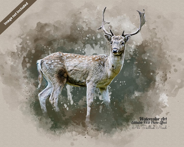 plantilla de pintura digital de animales
