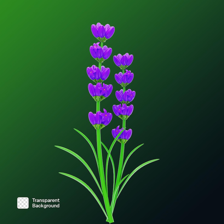PSD plantilla png 3d de flor realista