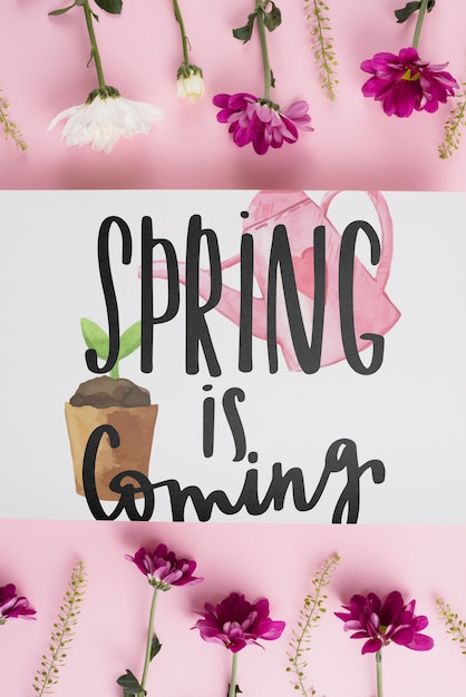 Plantilla de tarjeta para primavera con flores