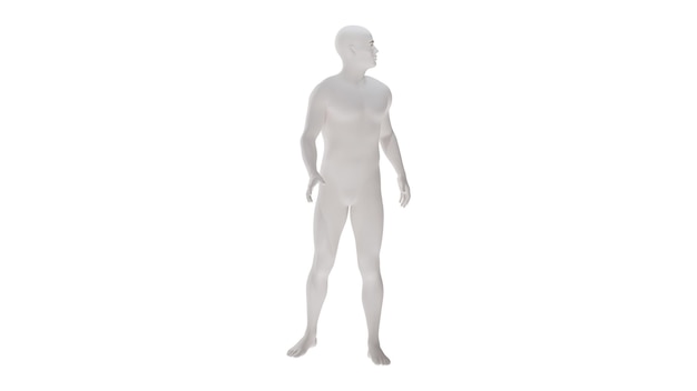 PSD plástico blanco de alta resolución conceptual anatomía humana en 3d cuerpo ilustración en 3d aislada