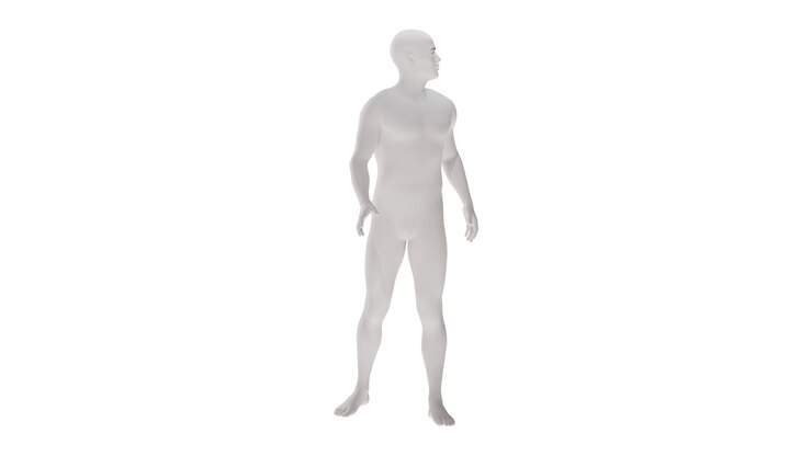 PSD plástico blanco de alta resolución conceptual anatomía humana en 3d cuerpo ilustración en 3d aislada