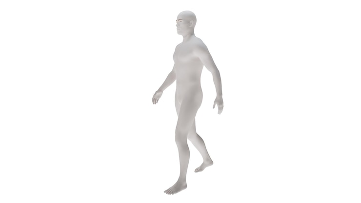 PSD plástico blanco de alta resolución conceptual anatomía humana en 3d cuerpo ilustración en 3d aislada