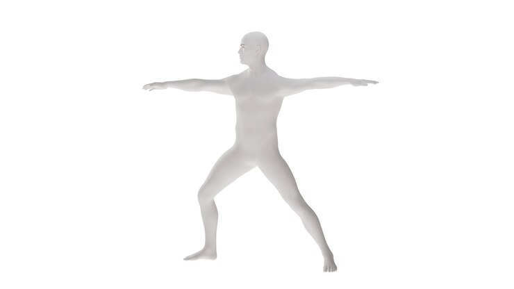 PSD plástico branco alta resolução conceitual humano anatomia 3d corpo ilustração 3d isolado