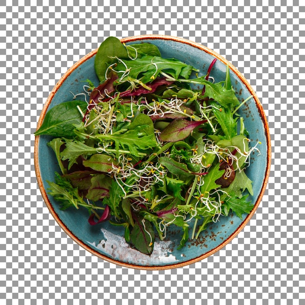 Plato de ensalada de vegetales verdes frescos sobre fondo transparente