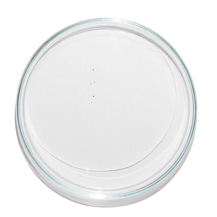 PSD plato de petri con gotas de gel en un fondo vacío png