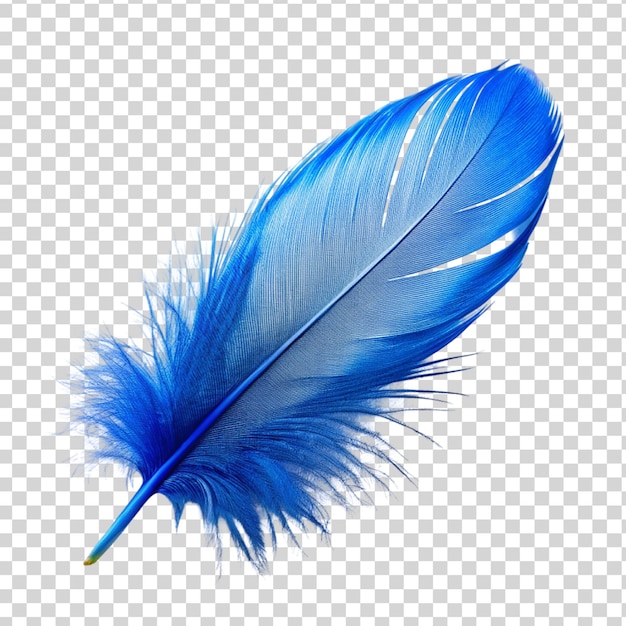 PSD pluma azul aislada sobre un fondo transparente