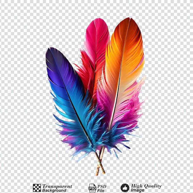 PSD pluma colorida aislada en un fondo transparente