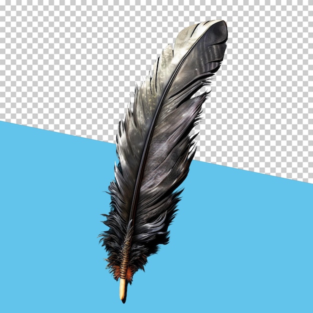 PSD pluma de cuervo