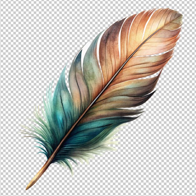 Pluma em fundo transparente