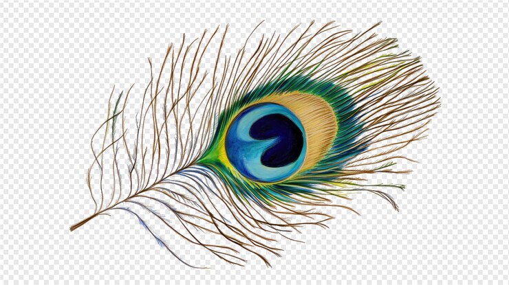 PSD una pluma con un ojo azul y un fondo negro