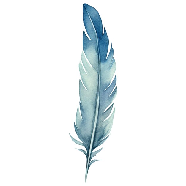 PSD pluma de pájaro pintada en acuarela elemento de diseño dibujado a mano aislado sobre un fondo transparente