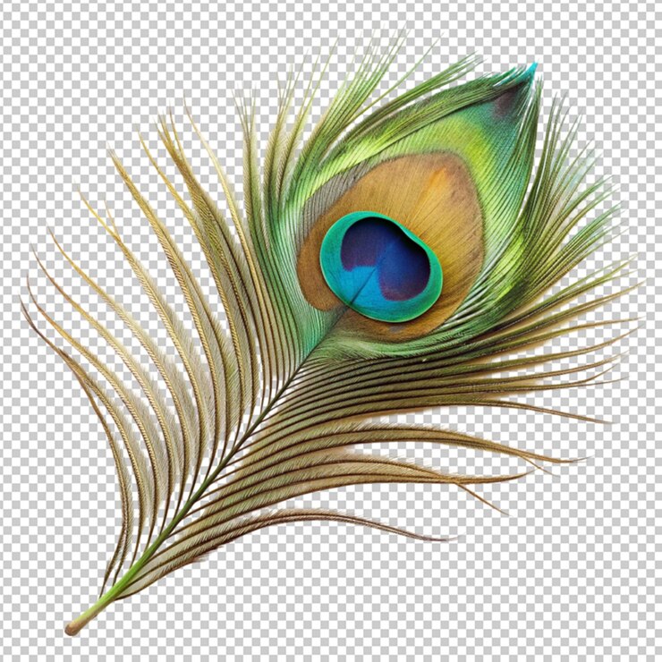 PSD una pluma de pavo real con un ojo azul en el centro sobre un fondo transparente