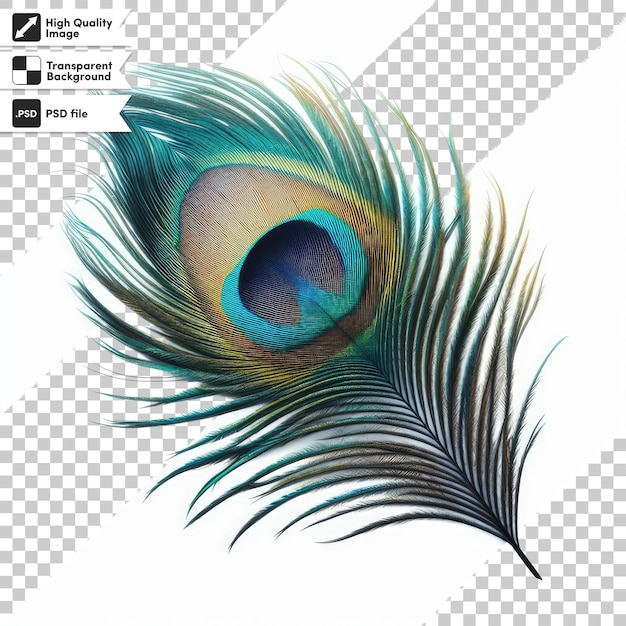 Pluma de pavo real psd en fondo transparente con capa de máscara editable