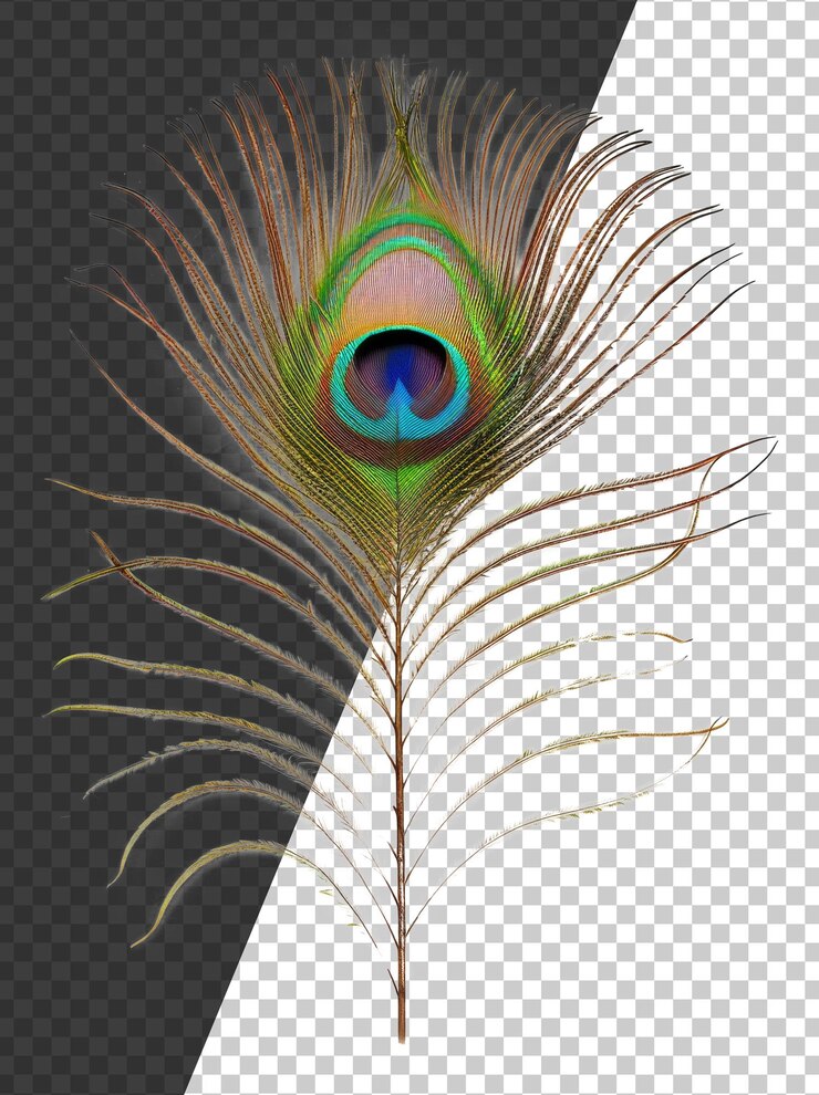 PSD pluma de pavo real vibrante con ojo iridescente en un fondo transparente
