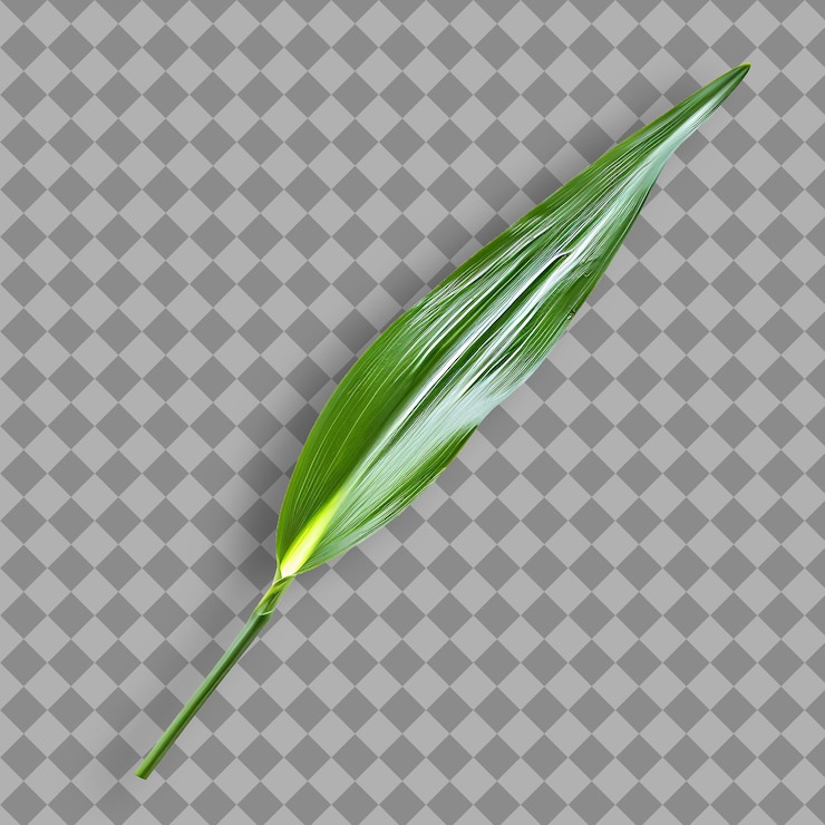 PSD una pluma con una pluma verde en ella se muestra en una foto