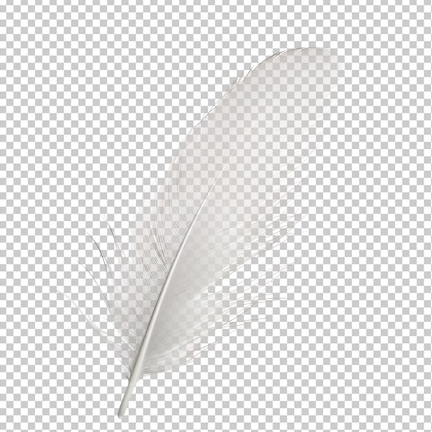 PSD pluma en png