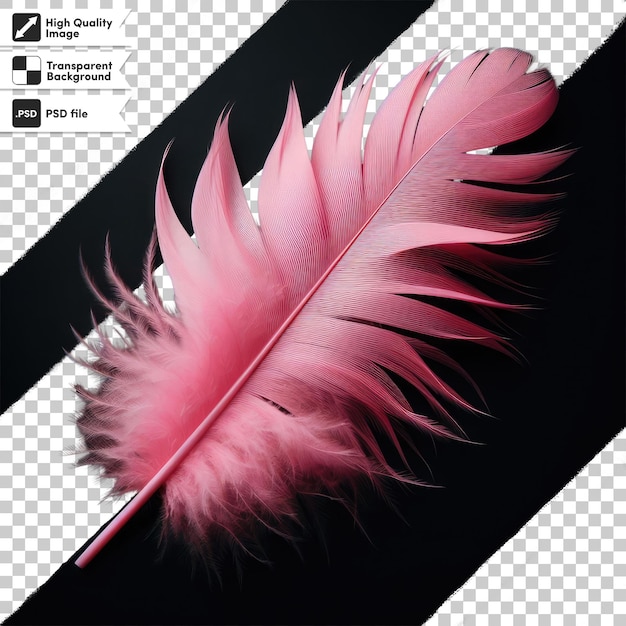 Pluma de psd en un fondo transparente