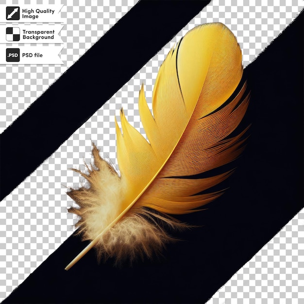 PSD pluma de psd en un fondo transparente